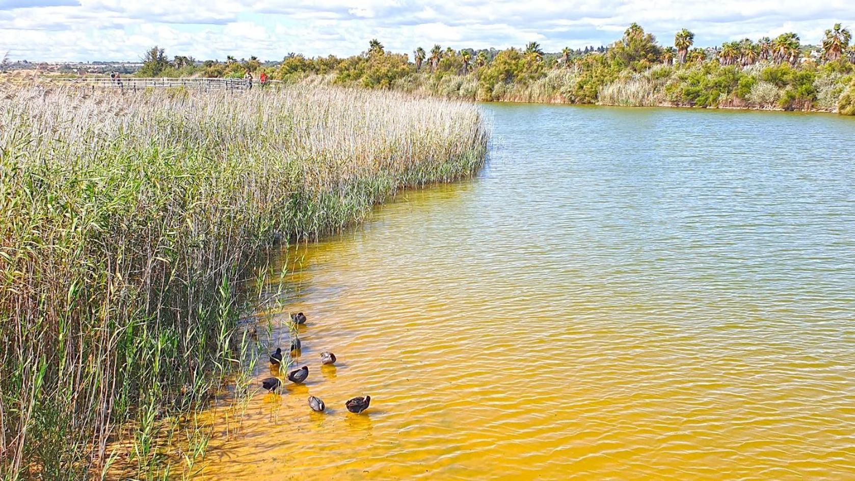 Cantinho Do Mocho Pêra Kültér fotó